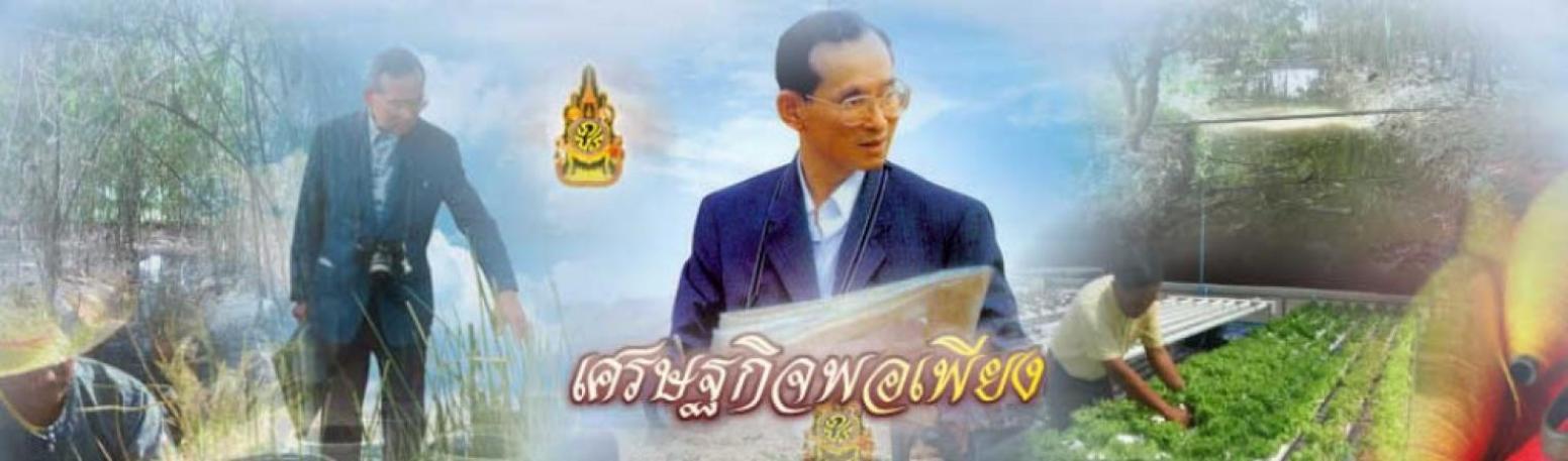 เศรษฐกิจพอเพียง ตามแนวพระราชบัญญัติ